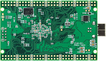 USB-FPGA Board EDA-0119